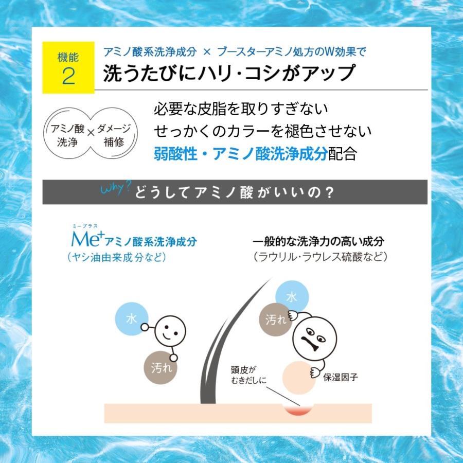 ボトルより1000円お得／送料無料 ミープラス 白髪染め 無添加 スカルプ