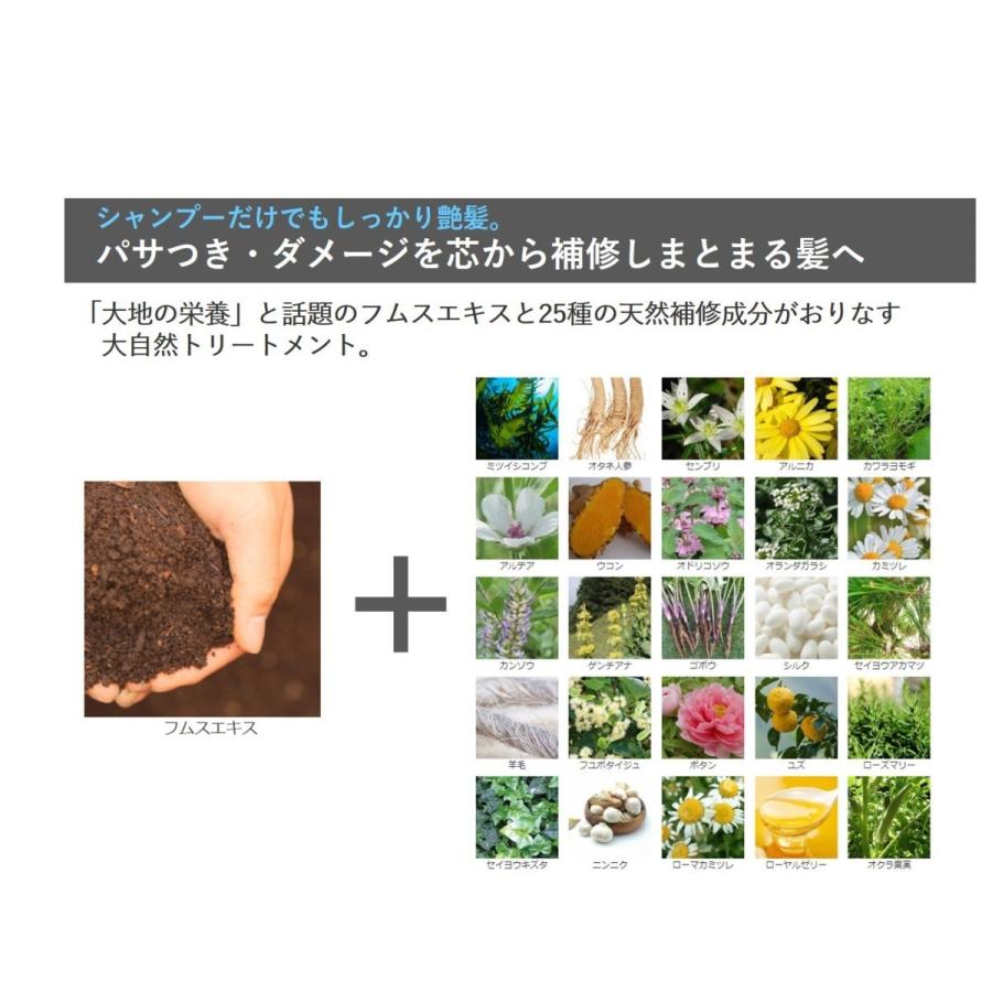 スカルプ 頭皮ケア 白髪染め カラーシャンプー ハリコシアップ 白髪を増やさない 毛髪診断士監修(お得なおまとめセット・スカルプブラシ付・約2ヵ月分) :y-03:ミープラスYahoo!店 - 通販 - Yahoo!ショッピング スカルプ 頭皮ケア 白髪染め カラーシャンプー ハリコシアップ 白髪を増やさない 毛髪診断士監修(お得なおまとめセット・スカルプブラシ付・約2ヵ月分) :y-03:ミープラスYahoo!店 - 通販 - Yahoo!ショッピング