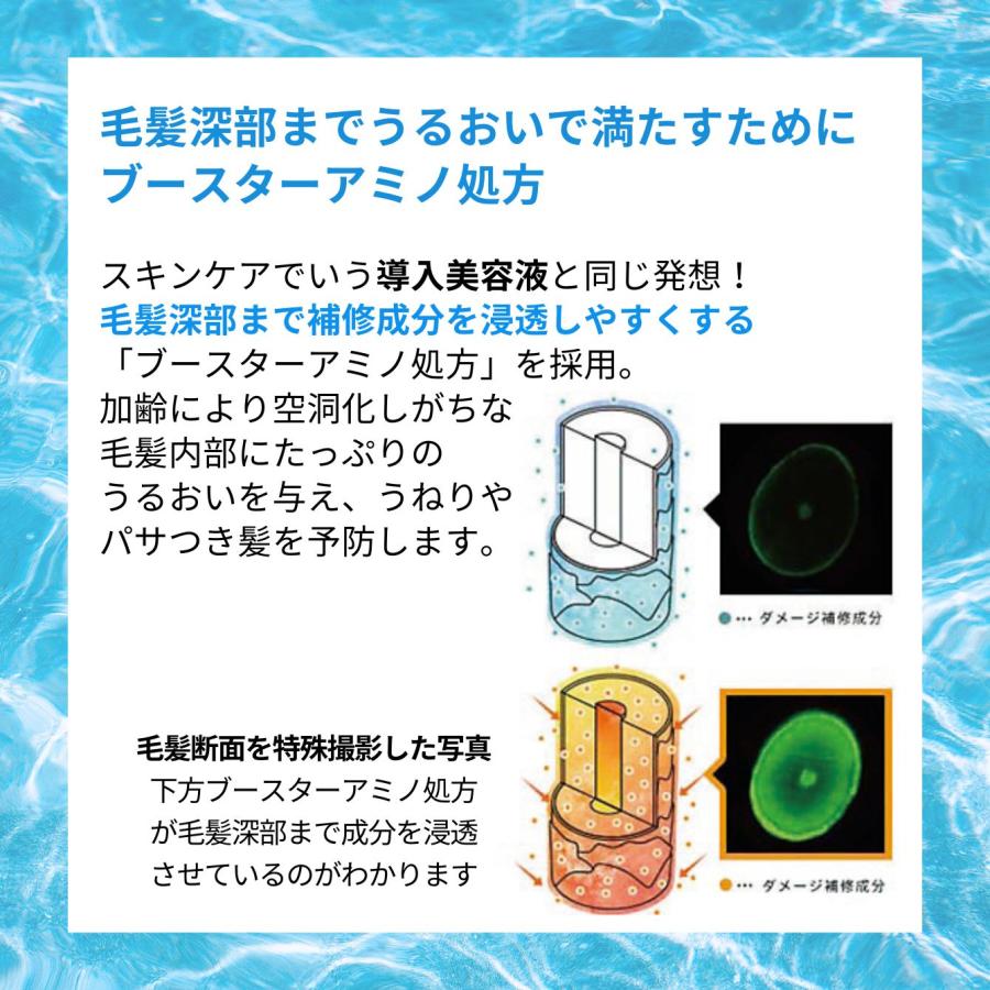 セット割引☆460円OFF／ 送料無料 人気 白髪染め シャンプー カラー