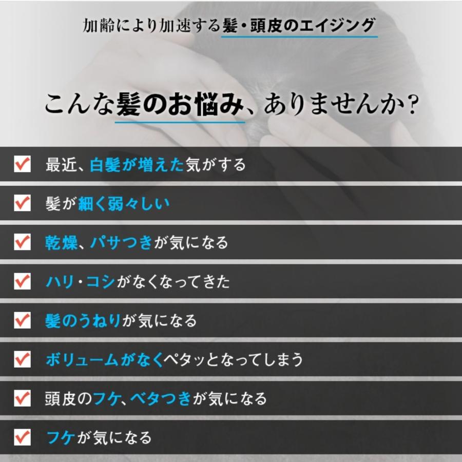 セット割引☆460円OFF／ 送料無料 人気 白髪染め シャンプー カラー