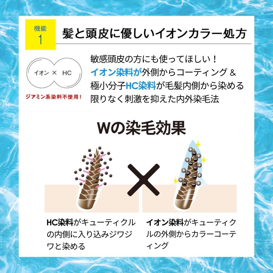 セット割引☆460円OFF／ 送料無料 人気 白髪染め シャンプー カラー