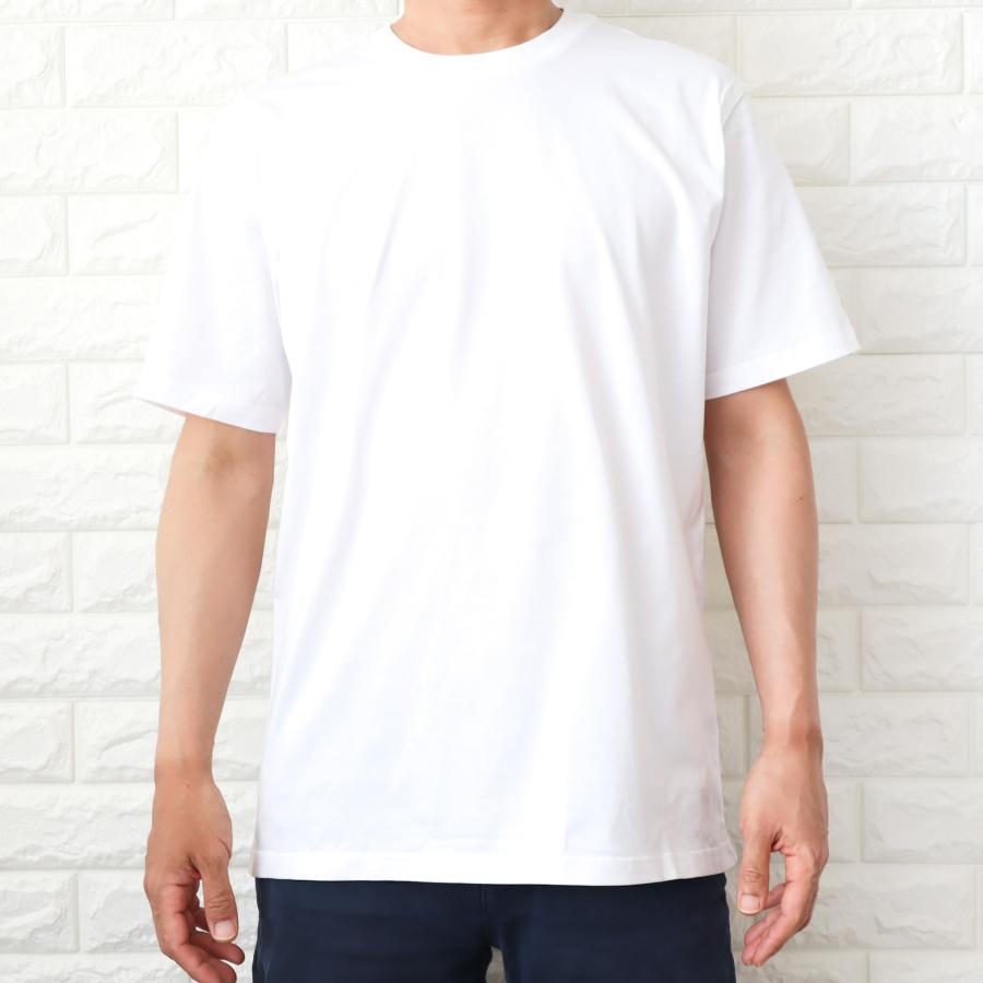 Carhartt カーハート Tシャツ メンズ ホワイト 白 スクリプト