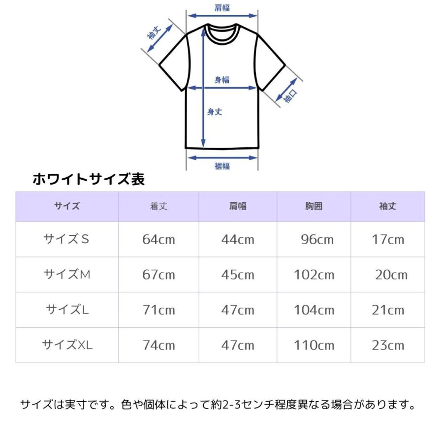 COMME des GARCONS コムデギャルソン ラコステ コラボTシャツ COMME des GARCONS コムデギャルソン ラコステ コラボTシャツ
