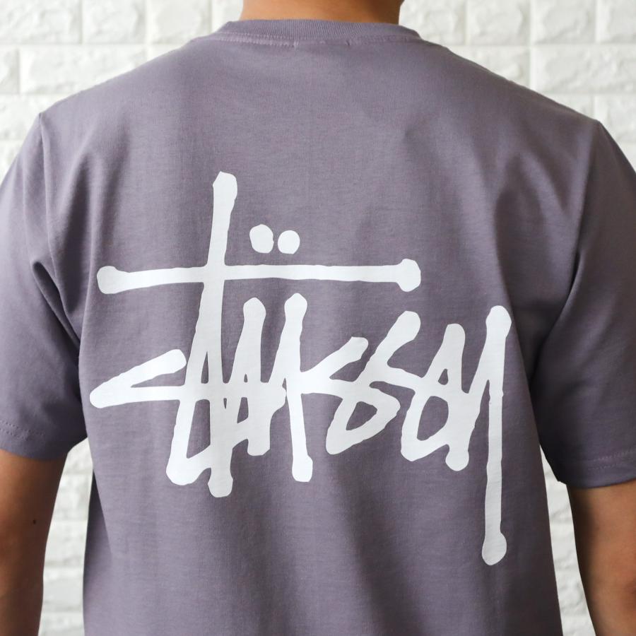 STUSSY（ステューシー） 【並行輸入品】ステューシー Tシャツ メンズ t