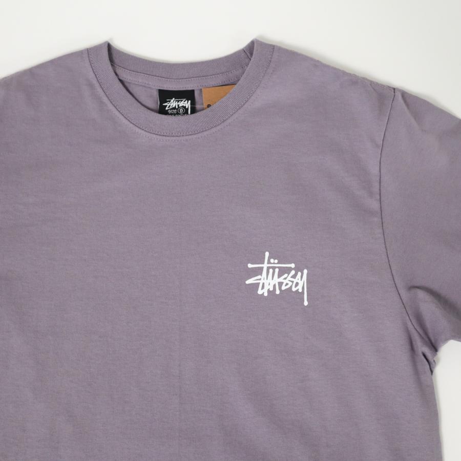 STUSSY（ステューシー） 【並行輸入品】ステューシー Tシャツ メンズ t