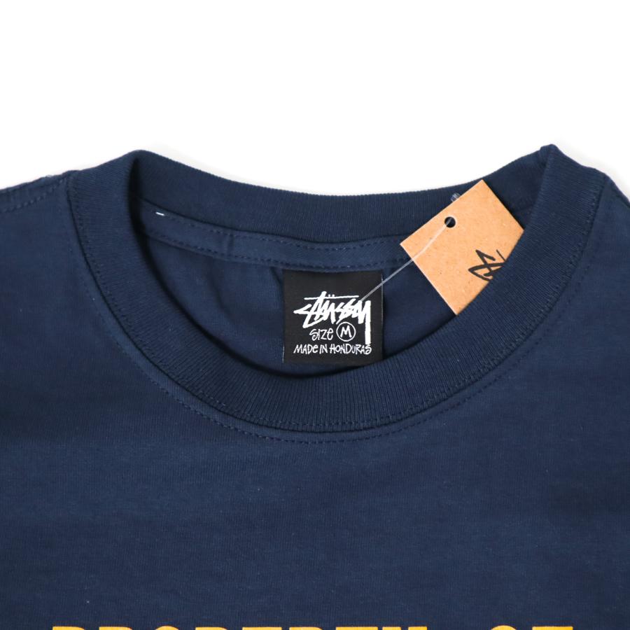 STUSSY（ステューシー） 【並行輸入品】ステューシー Tシャツ メンズ