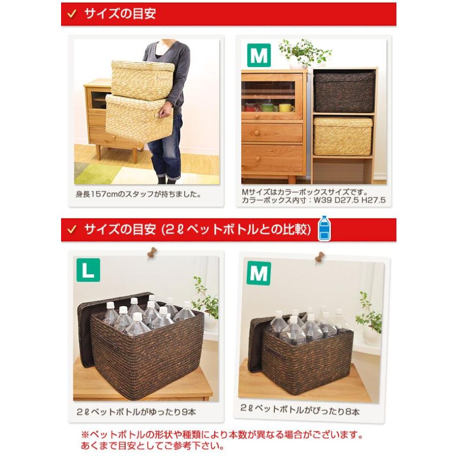 ストローフタ付きバスケットL＆Mサイズ2個セット かご 収納 バスケット