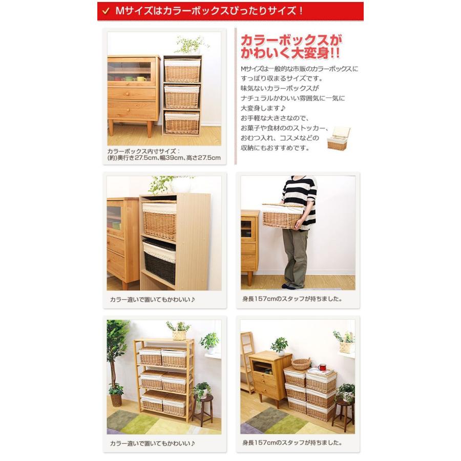 生活雑貨 フタ付き収納ケースかごバスケット/Mサイズ 2個セット/カラー