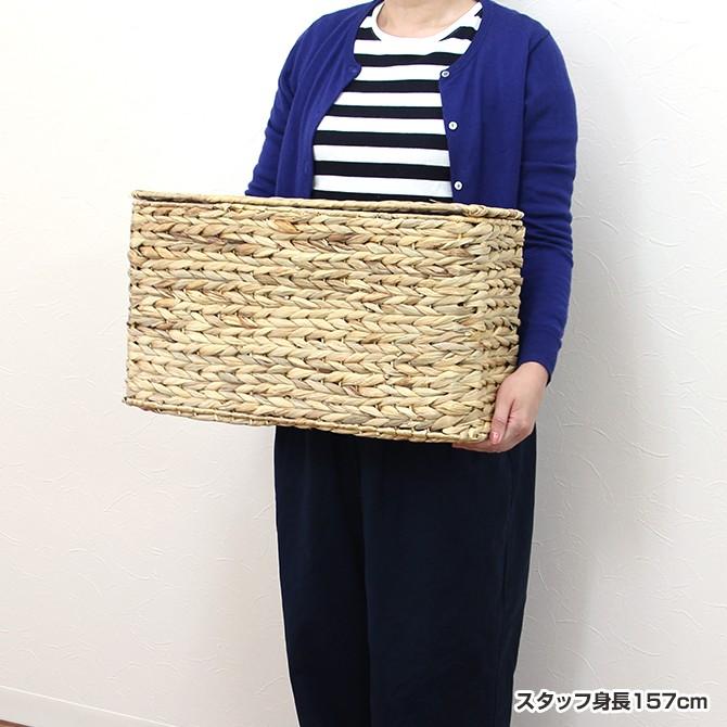 ウォーターヒヤシンス トイレットペーパー収納 薄型 バスケット M