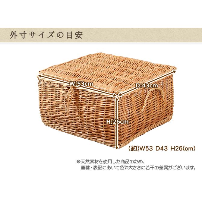 かご バスケット 収納 フタ付き 収納ボックス LLサイズ かわいい