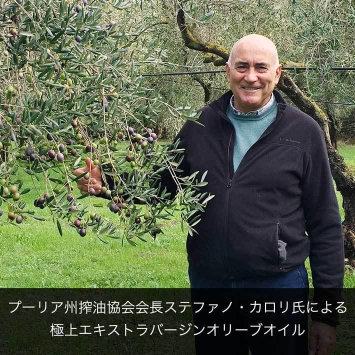 カロリ オリーブオイル エキストラバージン 高級 ノンフィルター 無濾過 500ml イタリア産 飲むオリーブ油 :OIL-EX-0006:イタリアの オリーブオイル ペル トゥッティ - 通販 - Yahoo!ショッピング カロリ オリーブオイル エキストラバージン 高級 ノンフィルター 無濾過 500ml イタリア産 飲むオリーブ油 :OIL-EX-0006:イタリアの オリーブオイル ペル トゥッティ - 通販 - Yahoo!ショッピング