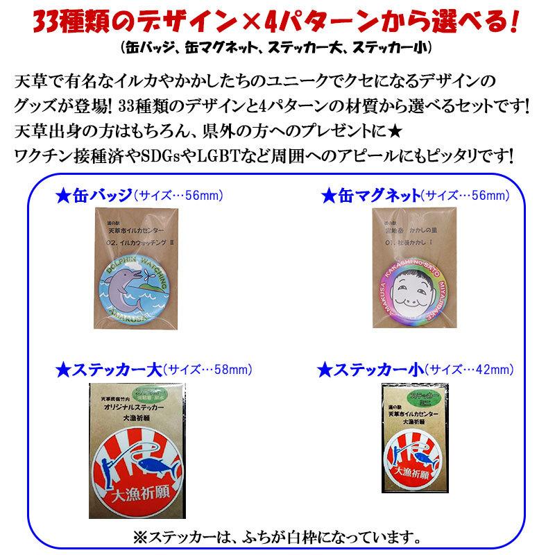 天草 イルカ・かかし グッズ選べる4種セット 熊本 限定 缶バッジ 缶