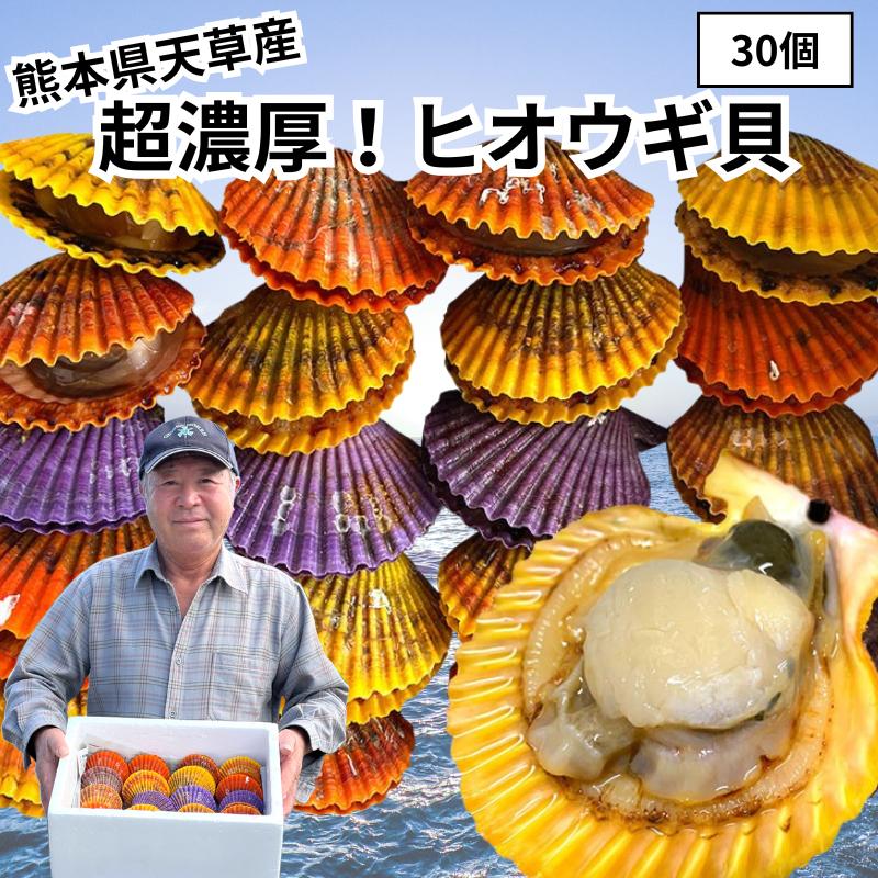 ヒオウギ貝 30個】ひおうぎ貝 緋扇貝 檜扇貝 殻付き 贈答用