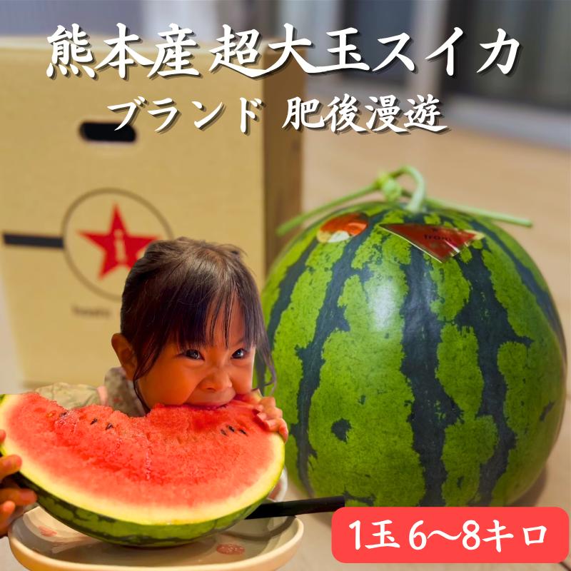 熊本県産 肥後漫遊 スイカ 2玉セット 熊本県産 植木スイカ 肥後漫遊 秀品 大玉 1玉6〜8kg】 高糖度 西瓜