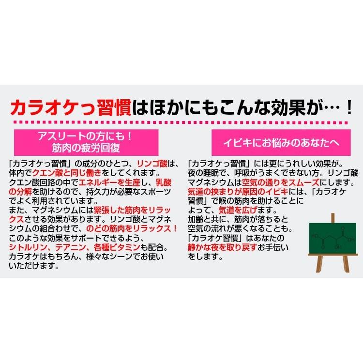 カラオケ 習慣 60粒入 リンゴ酸 マグネシウム サプリメント 声帯 忘年会 新年会 いびき プレゼント ポイント消化 父の日 ギフト｜mercato-kumamoto｜05