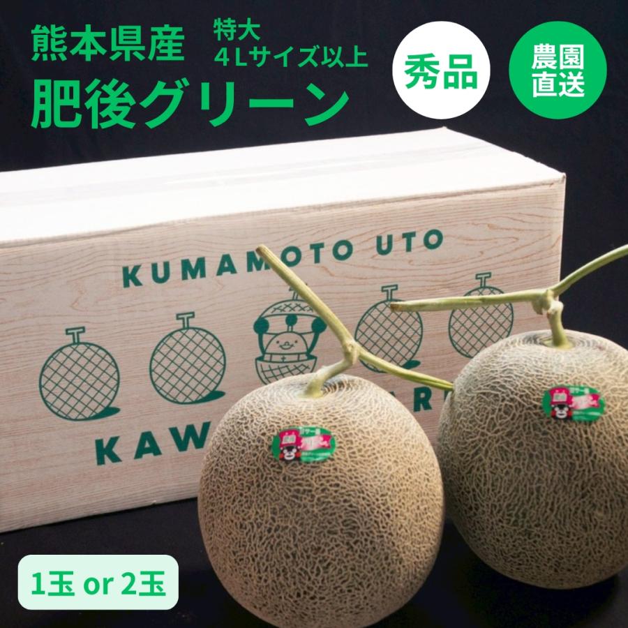 肥後グリーン　秀品　4玉入り 美味しい　10Kg 特大メロン 肥後グリーン 4L以上 秀品】 熊本産 メロン めろん 熊本