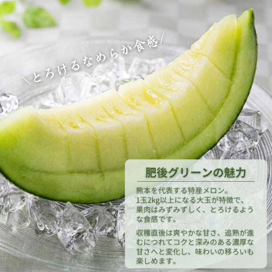 特大メロン 肥後グリーン 4L以上 秀品】 熊本産 メロン めろん 熊本
