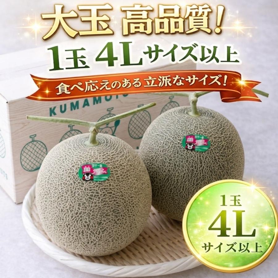 特大メロン 肥後グリーン 4L以上 秀品】 熊本産 メロン めろん 熊本