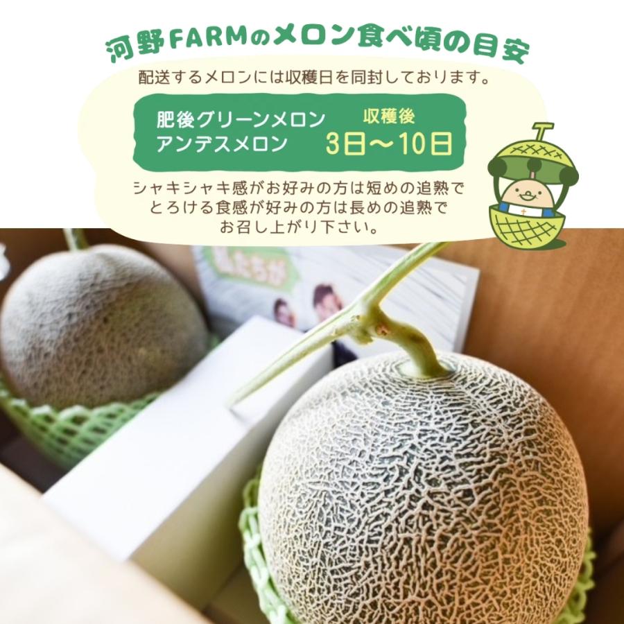 特大メロン 肥後グリーン 4L以上 秀品】 熊本産 メロン めろん 熊本