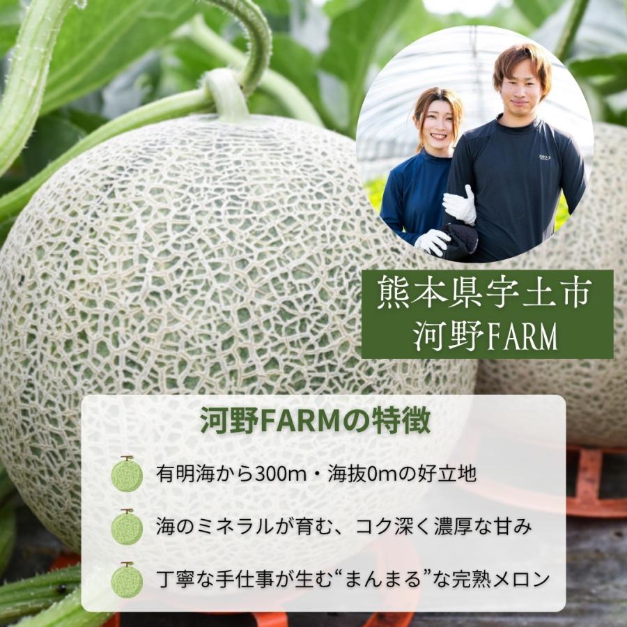 特大メロン 肥後グリーン 4L以上 秀品】 熊本産 メロン めろん 熊本