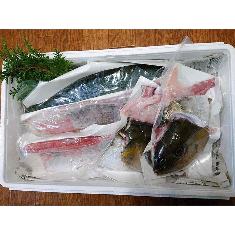 木戸鮮魚店 天草産 カンパチ 養殖3 4kg ギフト カンパチ お刺身 おつまみ 海産物 カルパッチョ 産地直送 内祝 御祝 塩焼き 鍋 手巻き寿司 寿司ネタ 海鮮丼 Kd Knpc メルカートくまもと 通販 Yahoo ショッピング