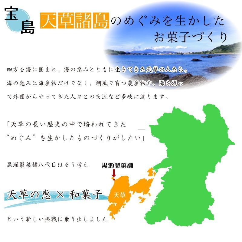 熊本天草の和菓子 天草の晩柑ようかん 2本入り 晩柑 ばんかん 入り 熊本銘菓 天草謹製認定品 羊羹 詰合せ お土産 ふるさと 懐かしの味 お彼岸 Kr02 メルカートくまもと 通販 Yahoo ショッピング