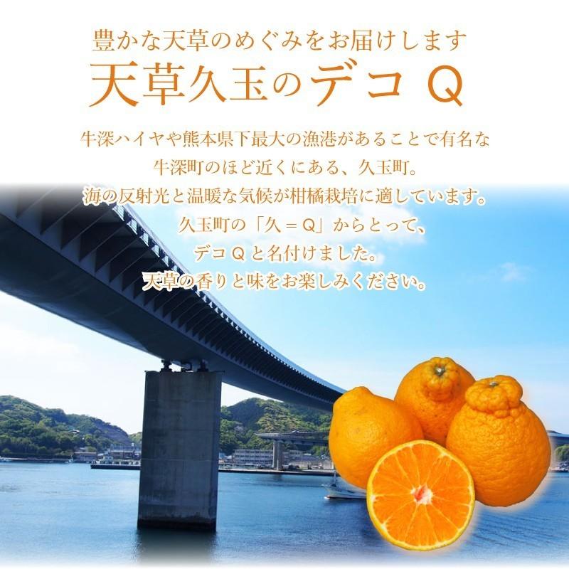 久玉果樹園【デコQ 家庭用 3.5キロ（3L以上）5.5キロ（2L以下）】熊本