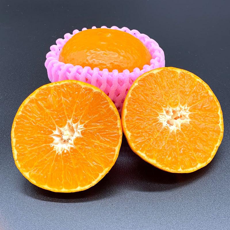 専用！天草オレンジみかん！甘くて美味しい！箱込10キロ 訳あり・規格外品】九州のオレンジ「ハウス天草」約3～3.3kg みかん