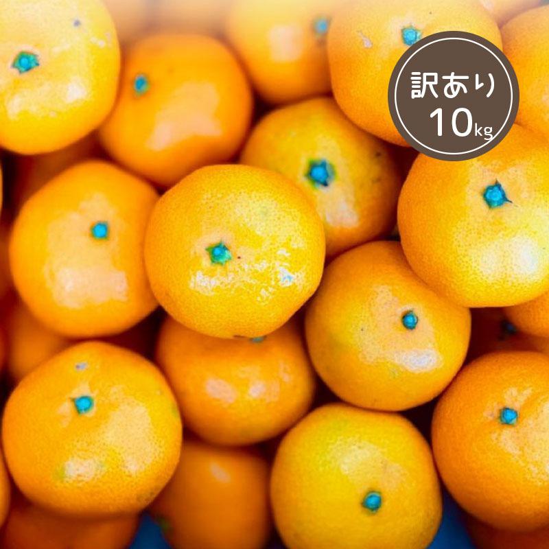 訳あり 塩屋みかん10kg ふぞろい 熊本 産地直送 甘い ミカン 箱買い 箱 Shioyamikan 06 メルカートくまもと 通販 Yahoo ショッピング