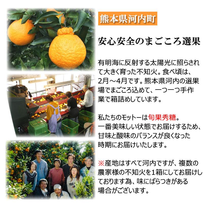 贈答用 不知火 5kg 熊本県河内産 デコポン みかん 産地直送 箱 贈答用 不知火 5kg 熊本県河内産 デコポン みかん 産地直送 箱
