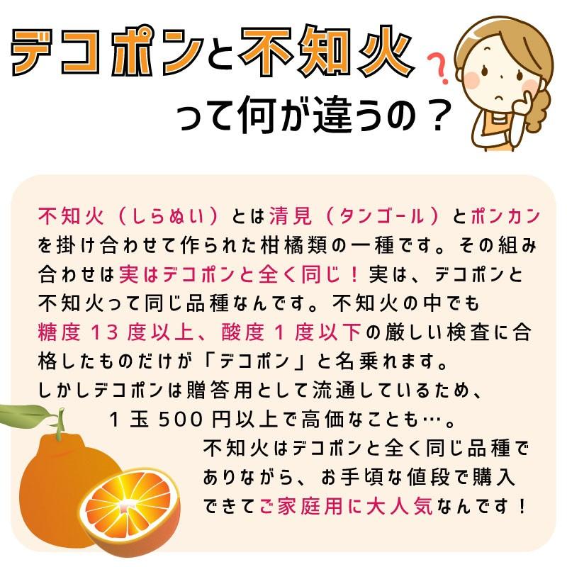贈答用 不知火 5kg 熊本県河内産 デコポン みかん 産地直送 箱 贈答用 不知火 5kg 熊本県河内産 デコポン みかん 産地直送 箱