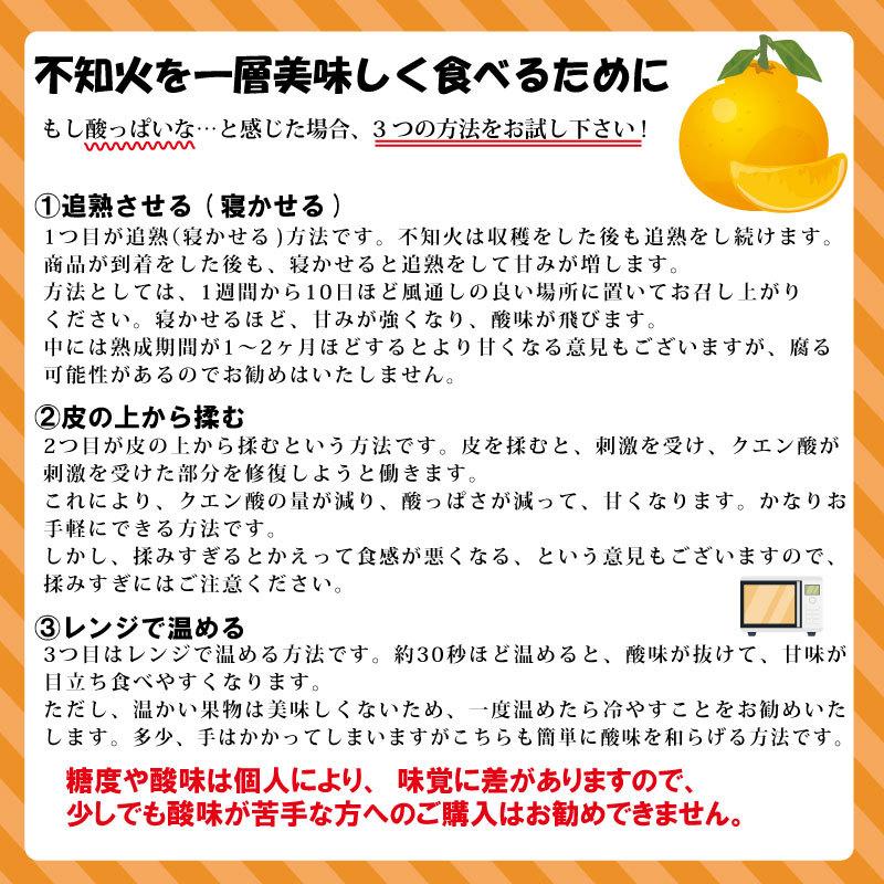 贈答用 不知火 5kg 熊本県河内産 デコポン みかん 産地直送 箱 贈答用 不知火 5kg 熊本県河内産 デコポン みかん 産地直送 箱