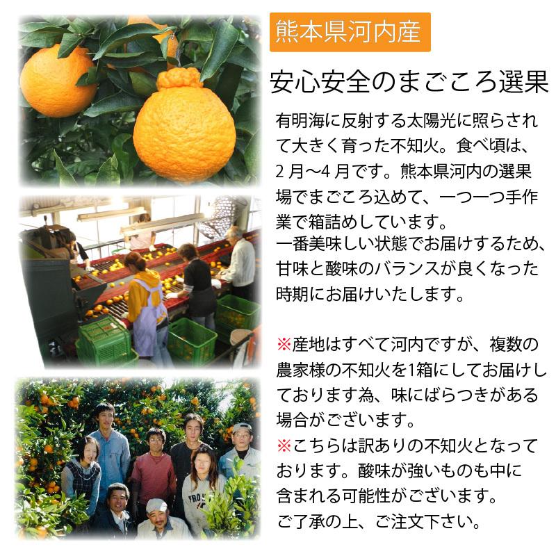 訳あり 不知火 5kg 熊本県河内産 デコポン みかん 産地直送 箱買い