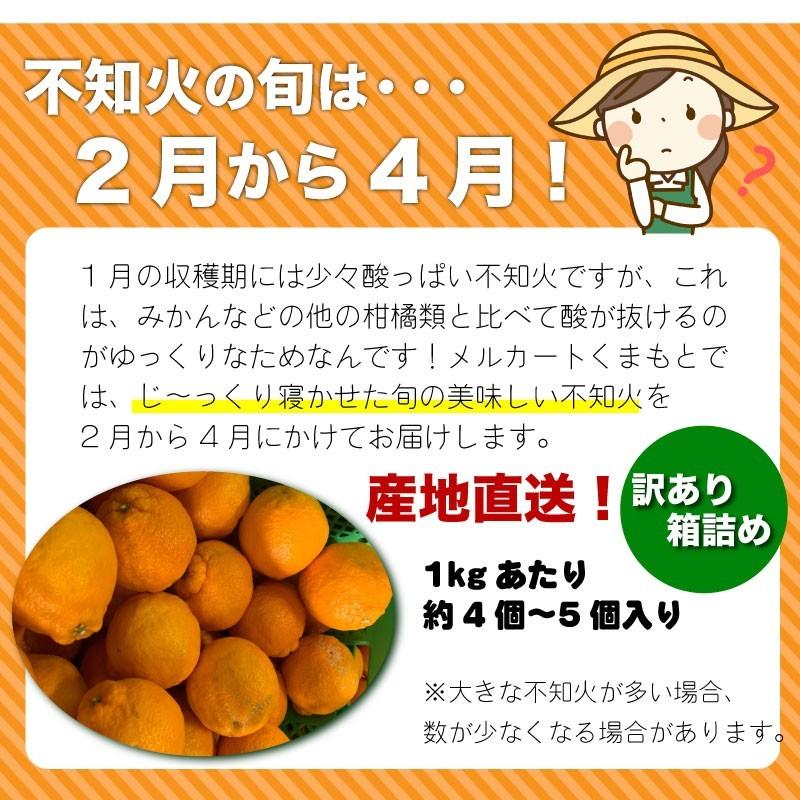 熊本県河内産 「デコポン」ジューシー不知火みかん 20kg 優品・家庭用 みかん 不知火 デコポン 10kg 訳あり 家庭用 送料無料 熊本産 サイズM