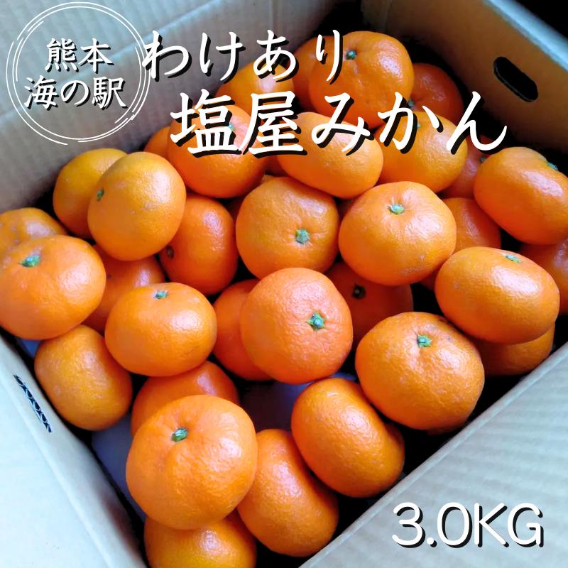 文旦　みかん　柑橘　訳あり　小玉、キズ　43 中島の訳あり小玉みかん