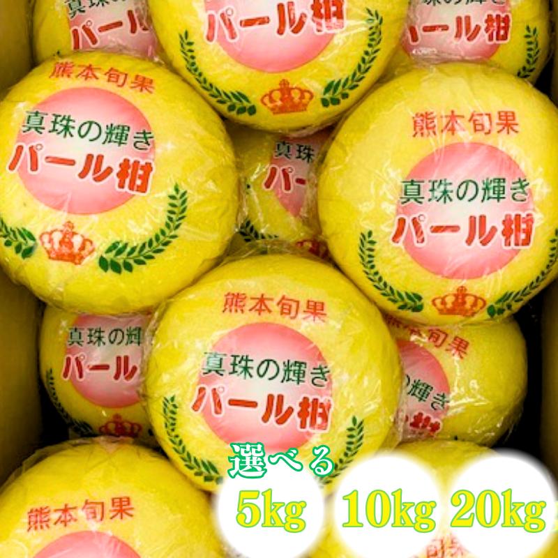 さかのぼりパール柑20kg さかのぼり様専用パール柑20kg 【公式通販】