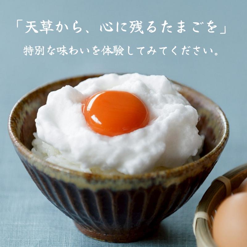 天草 タマンゴ 10個入り】メディア話題の高級卵｜マンゴー100％飼料で