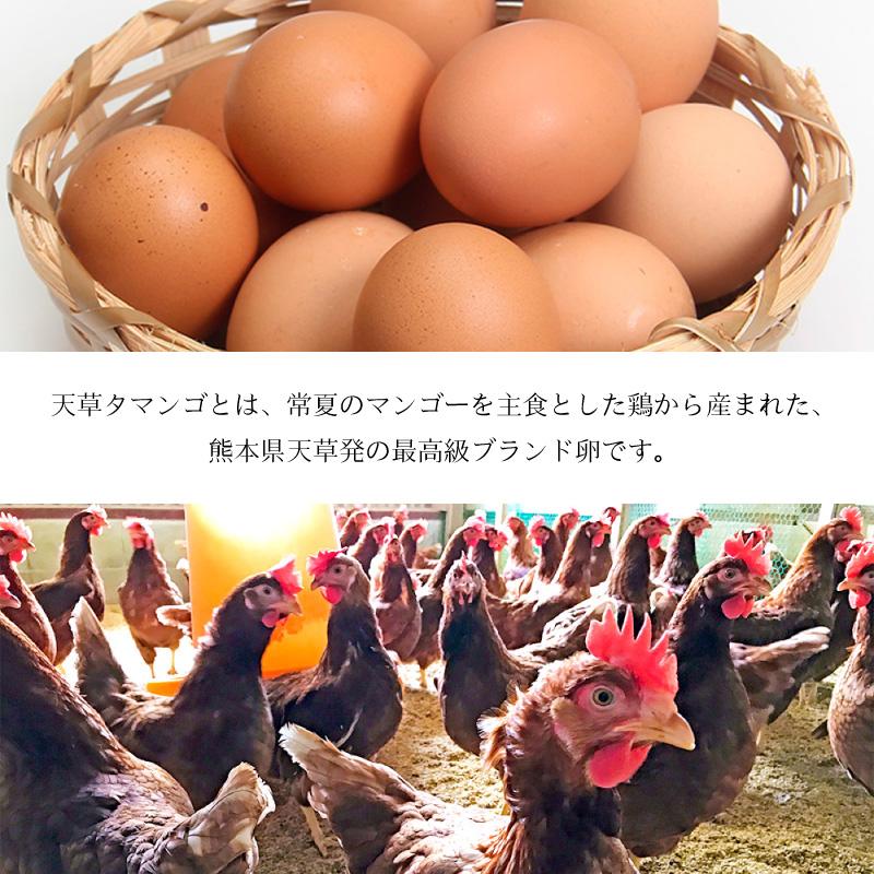 天草 タマンゴ 2個入り 生卵 たまご マンゴ 飼料天草 高級 贈答用 ご褒美 日本初 濃厚 新鮮 ブランド 贈り物 プレゼント ギフト 敬老の日 お彼岸 畜産物｜mercato-kumamoto｜03