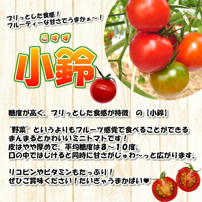 ミニトマト [小鈴] 2kg 熊本県産 新鮮 産地直送 甘い お取り寄せ お得