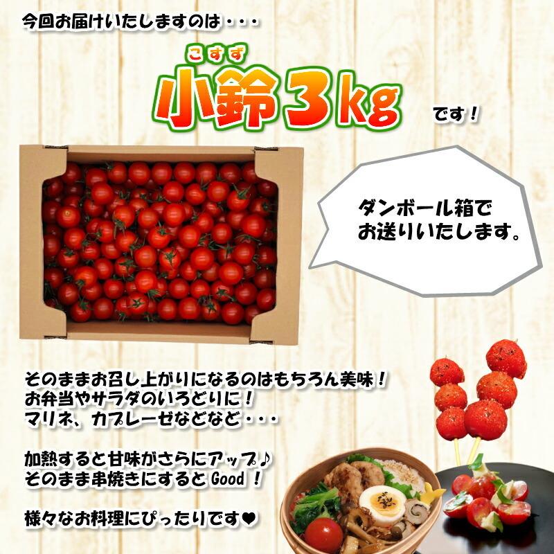 ミニトマト [小鈴] 3kg 熊本県産 新鮮 産地直送 甘い お取り寄せ お得