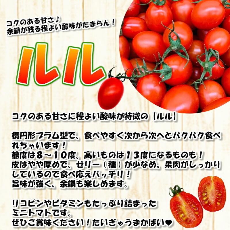 ミニトマト [ルル] 2kg 熊本県産 新鮮 産地直送 甘い お取り寄せ お得