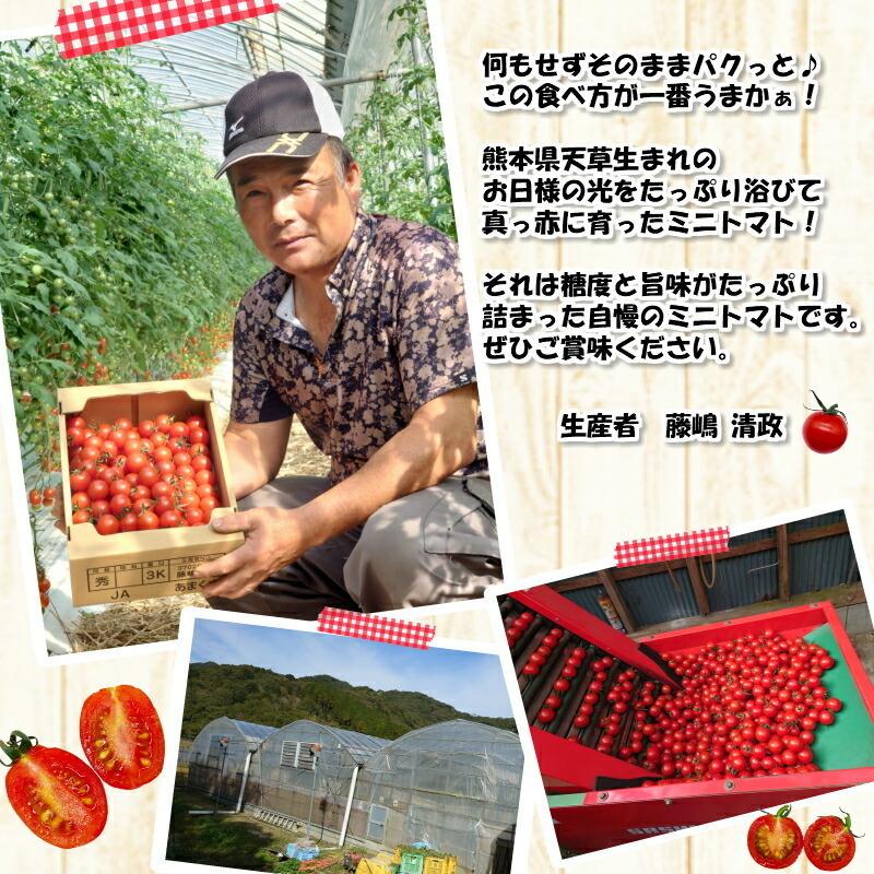 ミニトマト [ルル] 2kg 熊本県産 新鮮 産地直送 甘い お取り寄せ お得