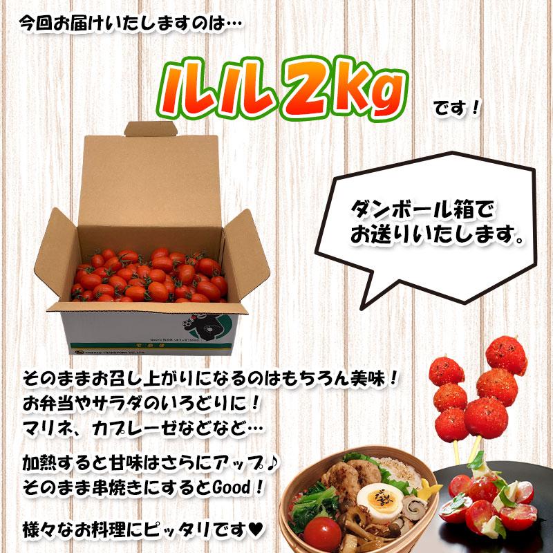 ミニトマト [ルル] 2kg 熊本県産 新鮮 産地直送 甘い お取り寄せ お得