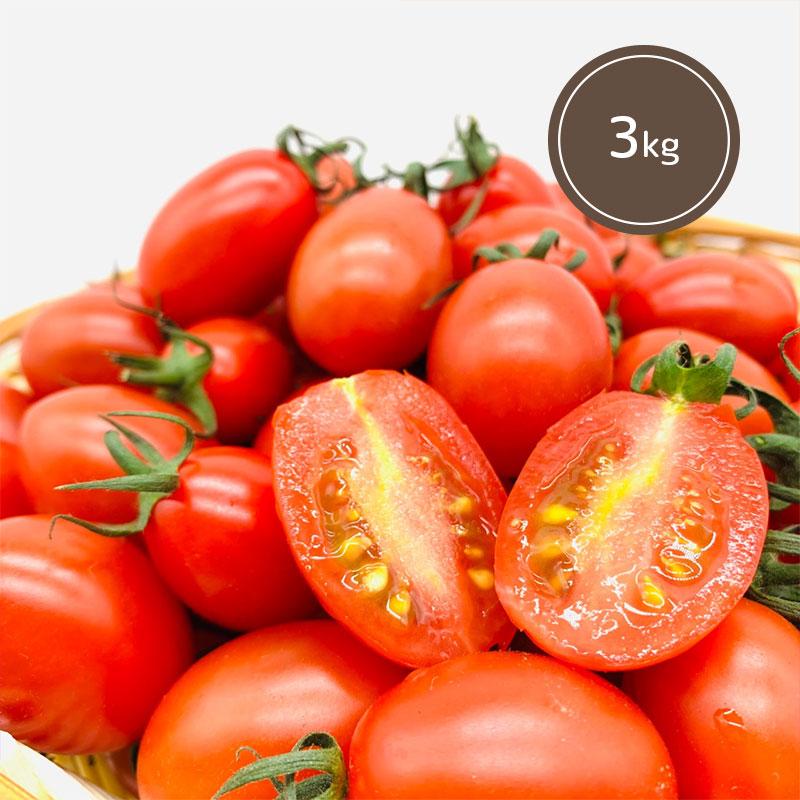 送料無料 熊本県産ミニトマト ルル ３kg 新鮮 産地直送 甘い お取り寄せ お得 サラダ お弁当 おやつ 糖度8 10度 美味しい Tmt Ruru3 メルカートくまもと 通販 Yahoo ショッピング