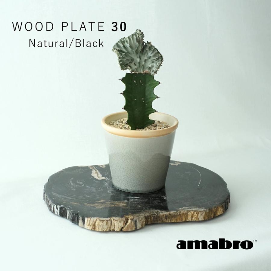 amabro（アマブロ） 【個体が選べれます】珪化木 化石 ウッドプレート