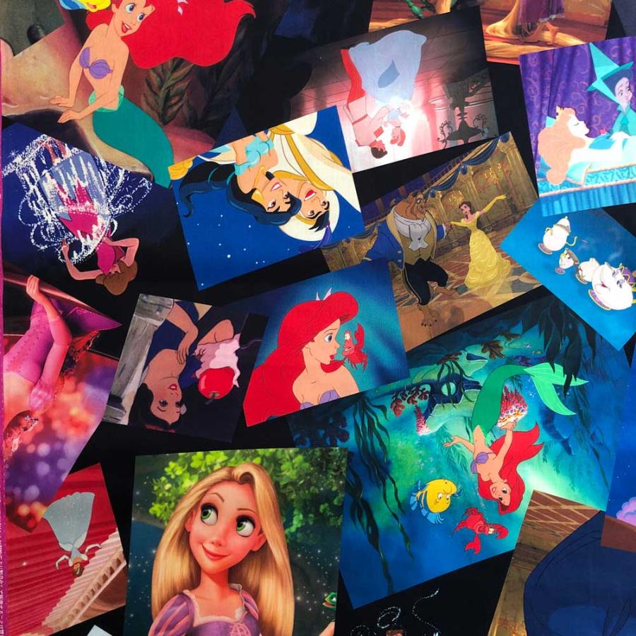 ディズニープリンセス デジタルプリント サテン生地 キャラクター 入園入学通園通学 ラプンツェル シンデレラ アリエル ベル オーロラ姫 G 7087 1a G 7087 1a リバティプリントショップmerci 通販 Yahoo ショッピング