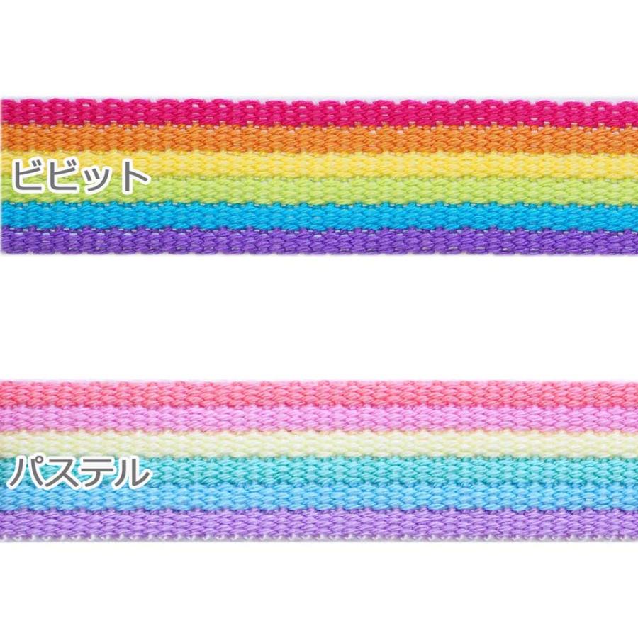 カラーテーププラス レインボー(25mm巾)1.5m巻 ビビット・パステル
