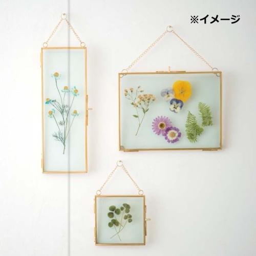 ブラスフレーム レクト S 2l判 タテヨコ ゴールド ブラス アイアン アンティーク風 押し花 ドライフラワー 展示するのにオススメなガラス製ケース yahoo メルシープレゼント 雑貨屋 通販 Yahoo ショッピング