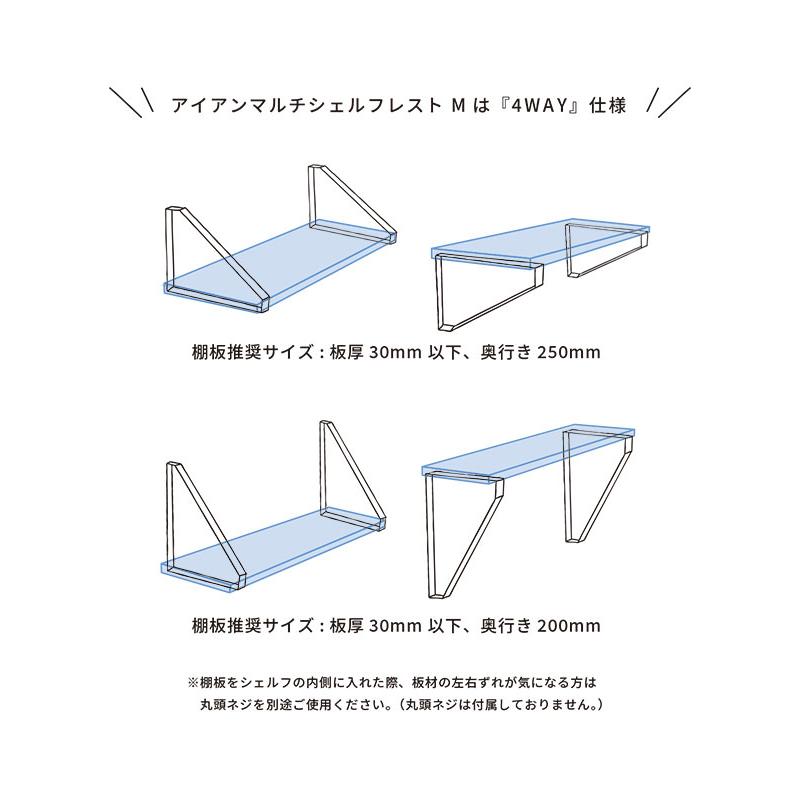 AXCIS（アクシス） アイアンマルチシェルフレスト M アイアン