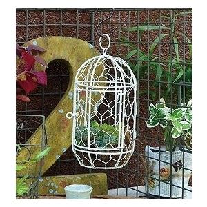 ワイヤーバードケージ ｓ アンティーク風 鳥かご ラウンド 丸型 Azi Azi アジアジ イミテーション バードゲージ 鳥かご 鳥カゴ 鳥ケージ かわいい おしゃれ Ya Az 780yahoo メルシープレゼント 雑貨屋 通販 Yahoo ショッピング